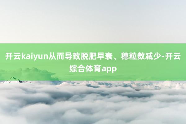开云kaiyun从而导致脱肥早衰、穗粒数减少-开云综合体育app