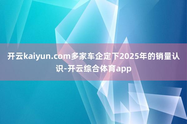 开云kaiyun.com多家车企定下2025年的销量认识-开云综合体育app